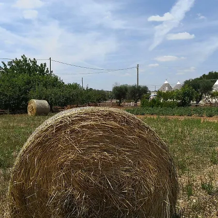 Сasa de vacaciones Trulli Beauty *